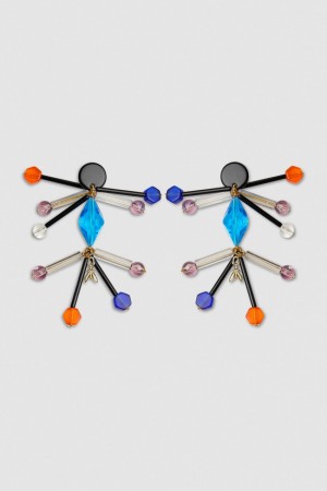 Patrizia Pepe Earrings With Techno Pop Fly Appliqué Monivärinen | GQX958241