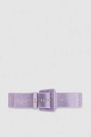 Patrizia Pepe High-waisted Belt With Rhinestones Pinkki | NHS395048