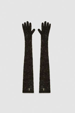 Patrizia Pepe Long Stretch Lace Gloves Mustat | KVX302495